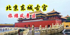 美女扣逼网站免费中国北京-东城古宫旅游风景区